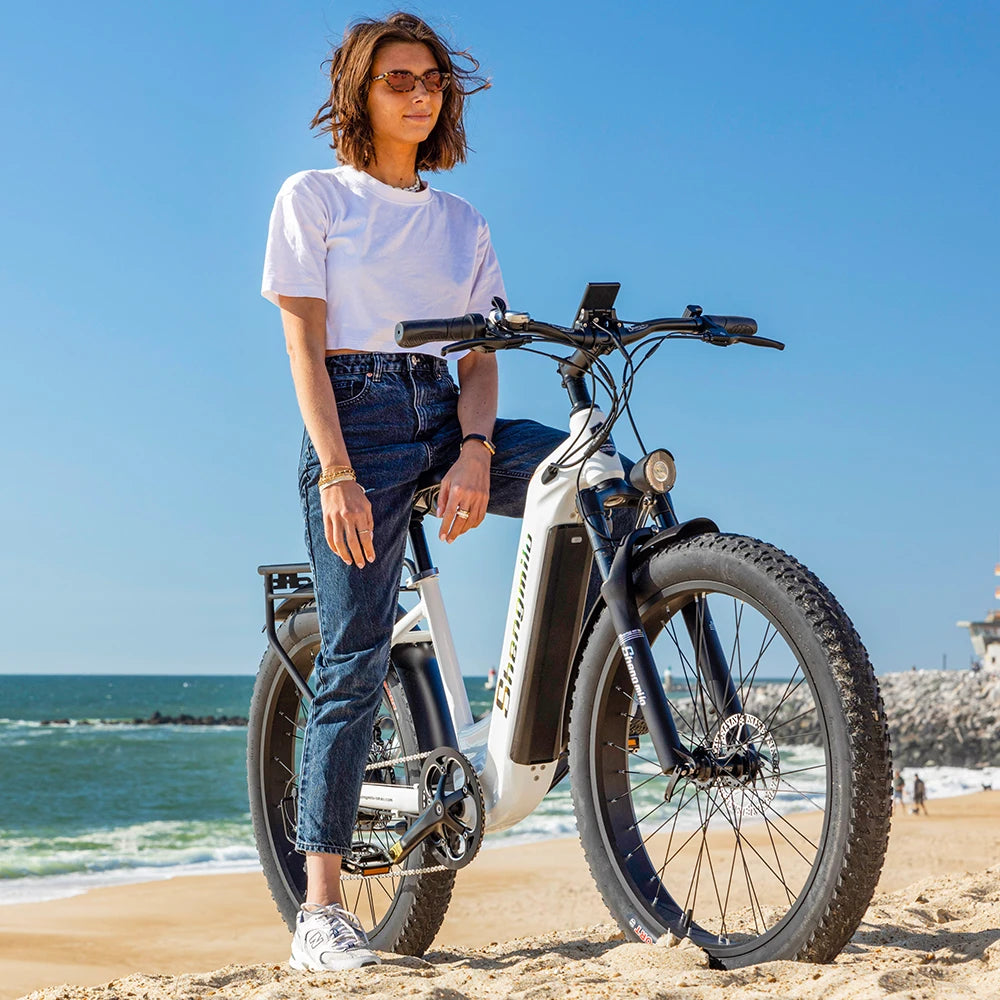 Shengmilo MX06 Multifunctional Electric Bike - Enterprise Express